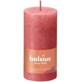 Bolsius zalm roze rustiek stompkaarsen 100/50 (30 uur) Eco Shine Blossom Pink