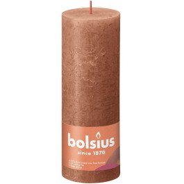 Bolsius terracotta rustiek stompkaars 190/68 (85 uur) Eco Shine Rusty Pink (Default)Terug Herstellen Verwijder Dupliceren Opslaan Opslaan en verder bewerken