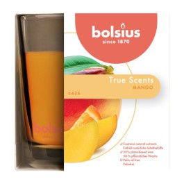 Bolsius geurglas mango geurkaarsen 95/95