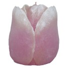 Roze tulp figuurkaars met tulpen geur 100/90 (35 uur)