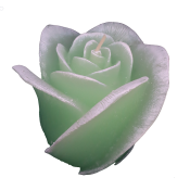 Groene roos figuurkaars met druiven geur